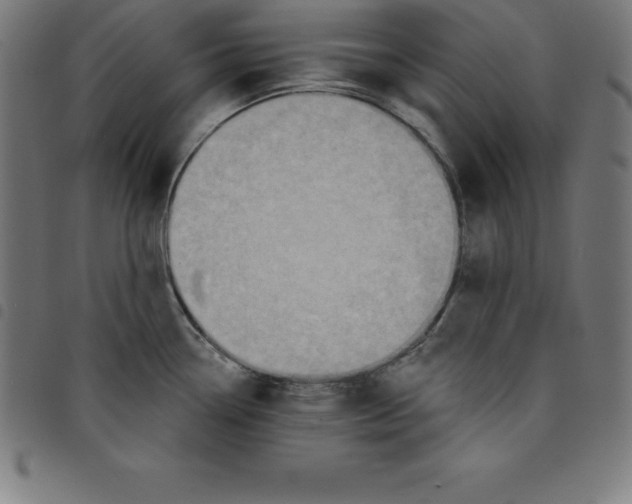 X0000098051338200804251054