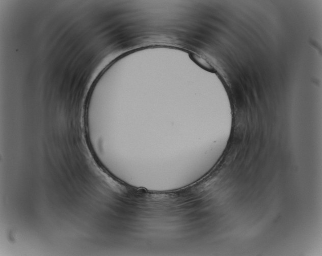 X0000098051339200804251054