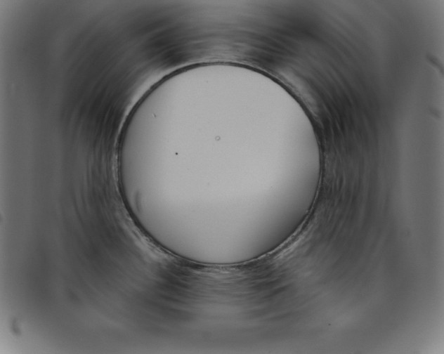 X0000098051340200804251054