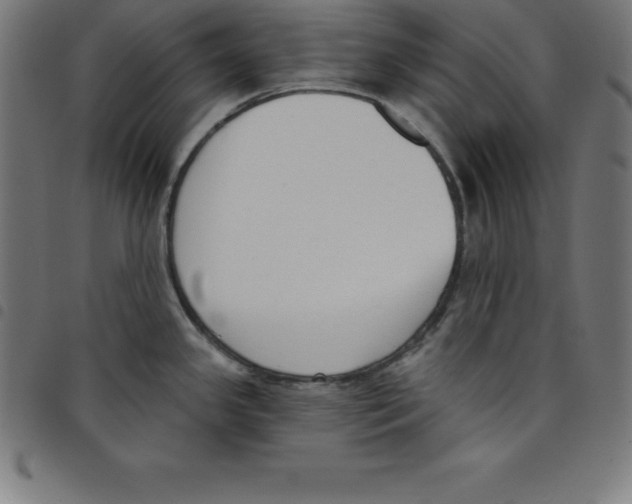 X0000098051341200804251054