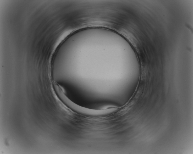 X0000098051342200804251054