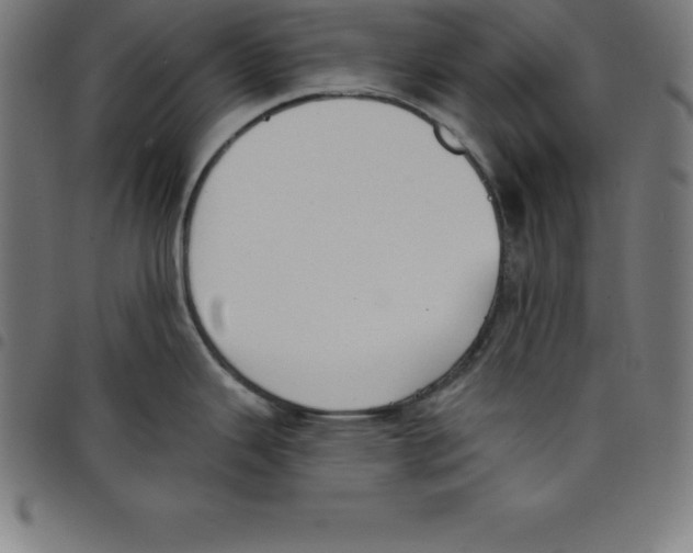 X0000098051343200804251054