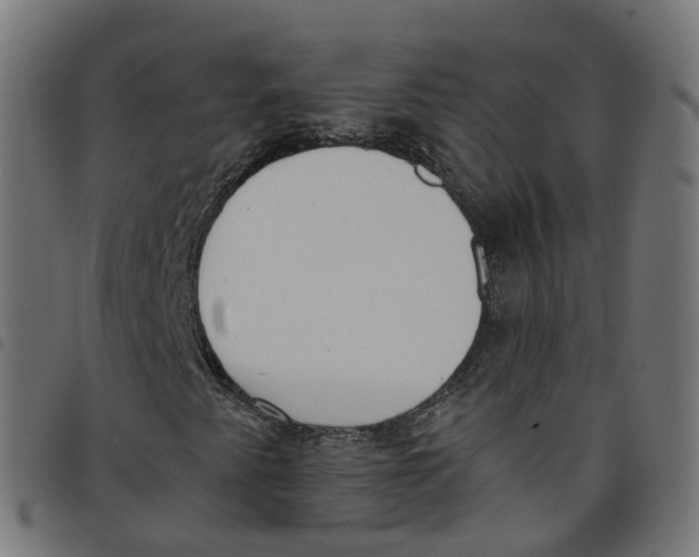 X0000098051345200804251053