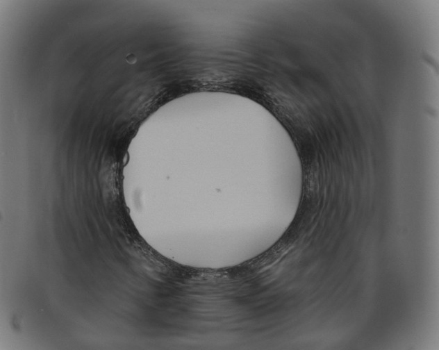 X0000098051346200804251053