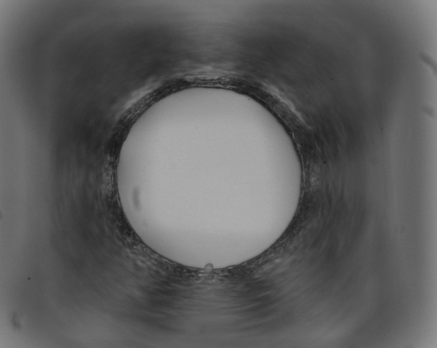 X0000098051350200804251053