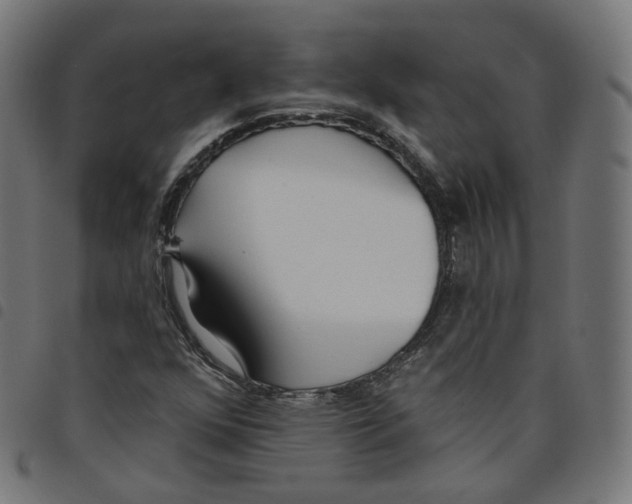 X0000098051352200804251053