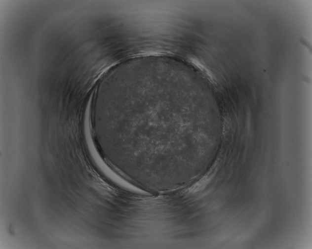 X0000098051353200804251053