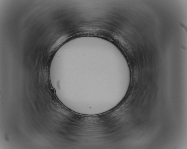 X0000098051354200804251053