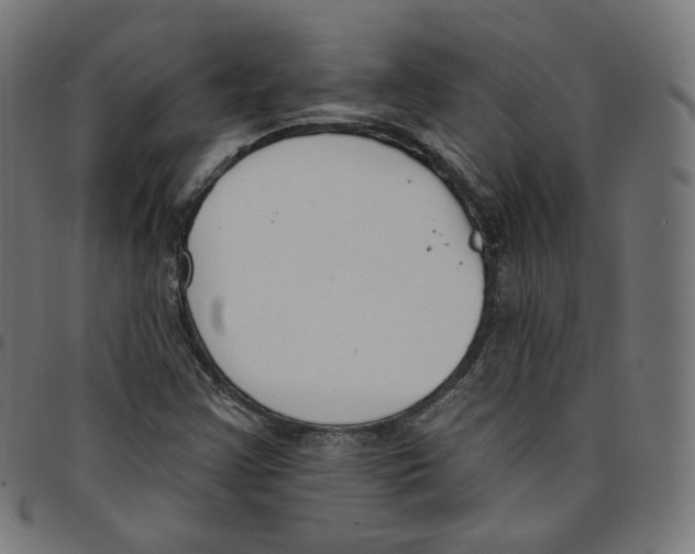 X0000098051355200804251053