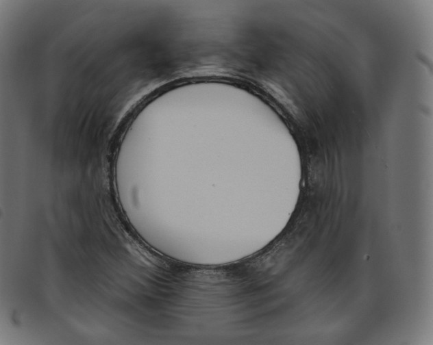 X0000098051356200804251053