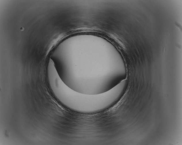 X0000098051357200804251053