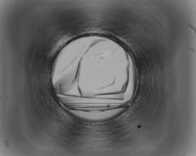 X0000098051359200804251053