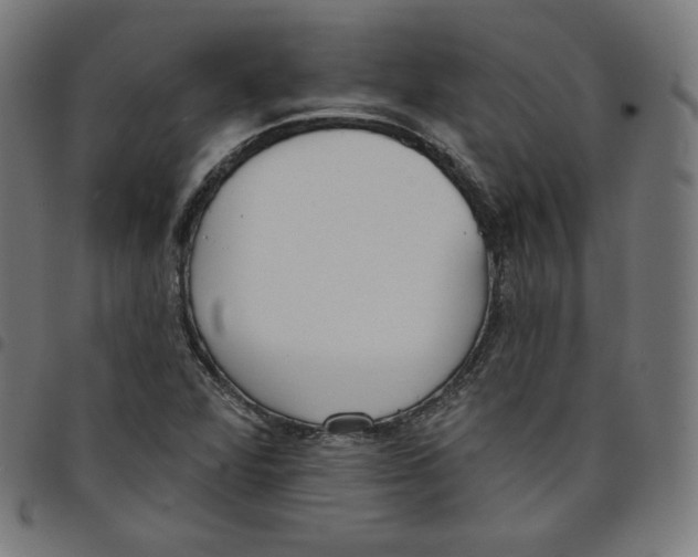 X0000098051360200804251053