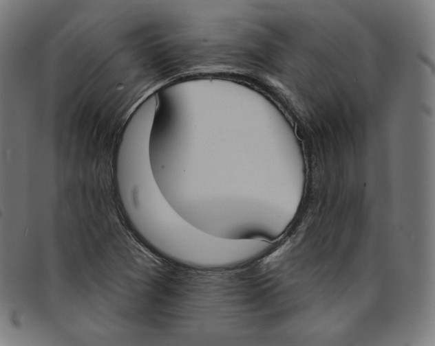 X0000098051361200804251053