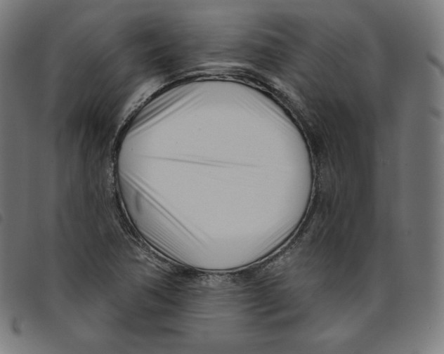 X0000098051362200804251053