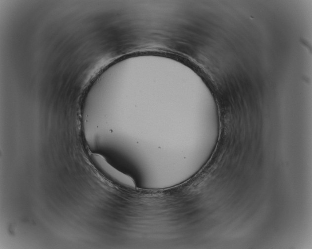 X0000098051363200804251053