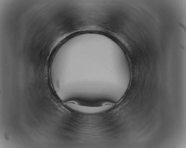 X0000098051364200804251053