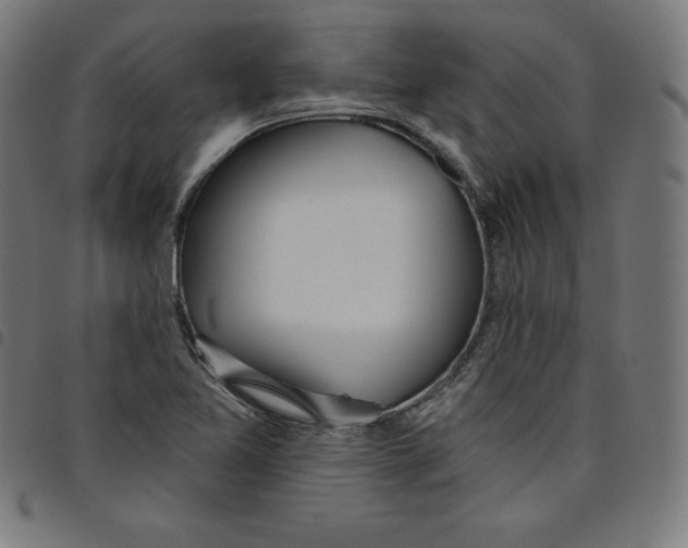 X0000098051365200804251053