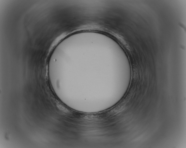 X0000098051366200804251053