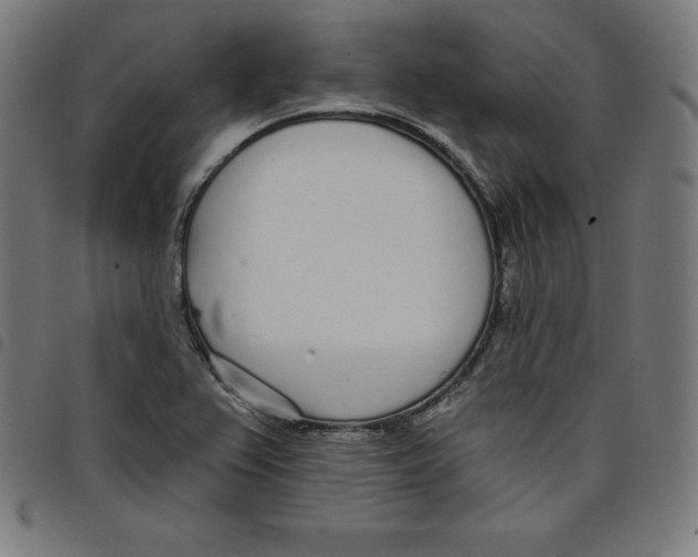 X0000098051367200804251053