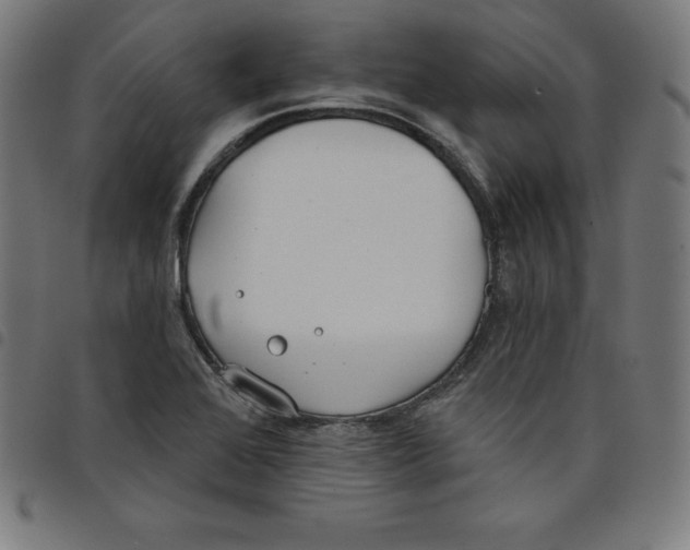 X0000098051368200804251053