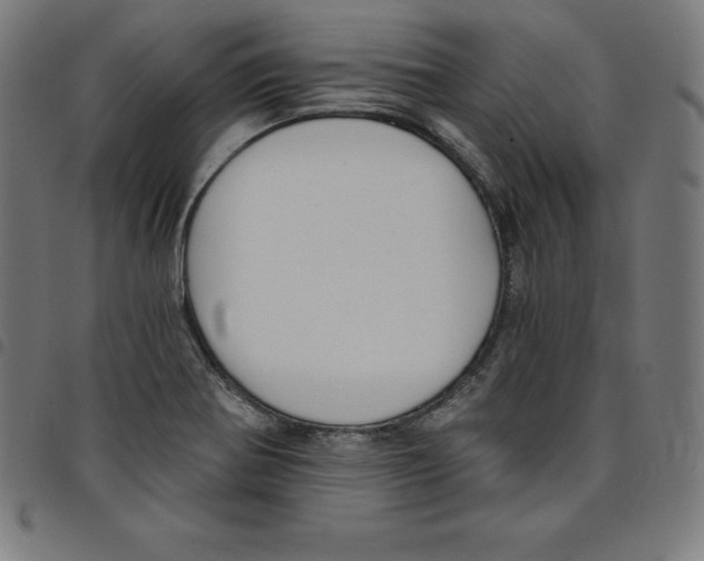 X0000098051370200804251053