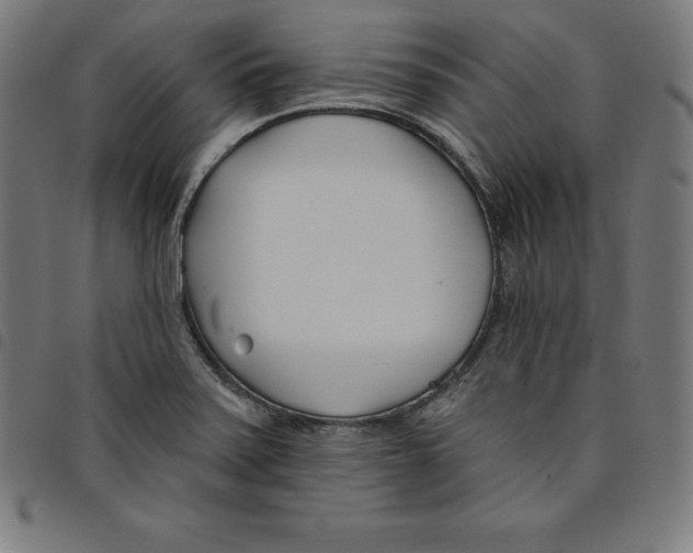 X0000098051371200804251053