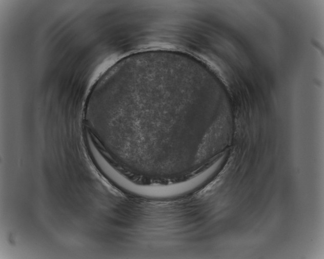 X0000098051373200804251053