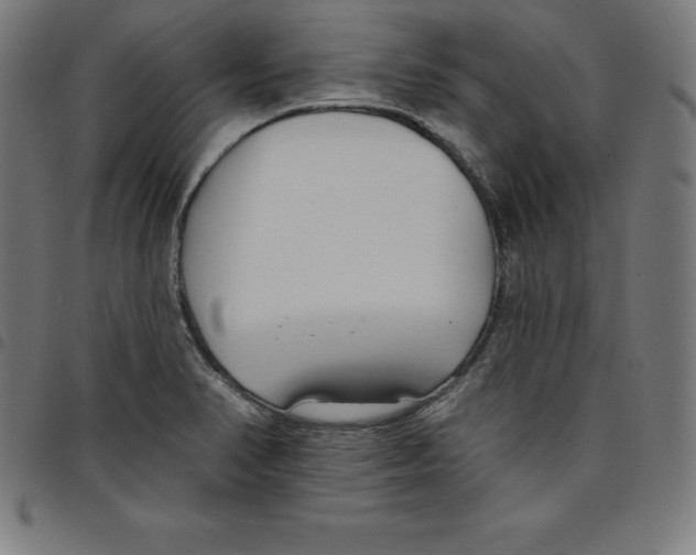 X0000098051374200804251053