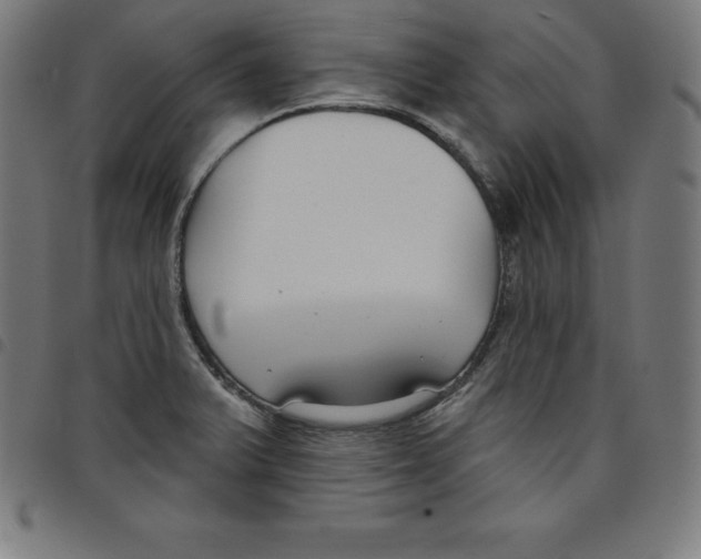 X0000098051375200804251053