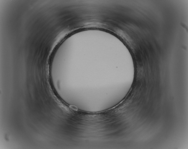 X0000098051376200804251053