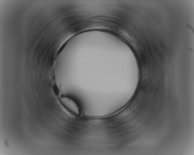 X0000098051377200804251053