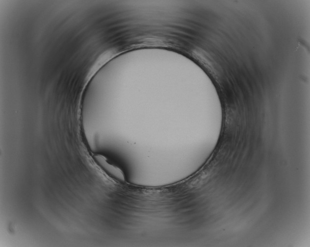 X0000098051378200804251053