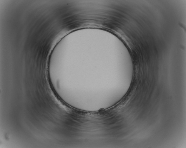 X0000098051379200804251053