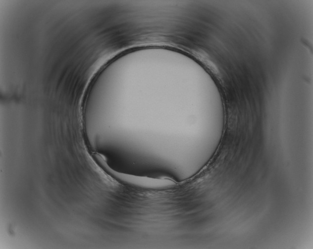 X0000098051380200804251053