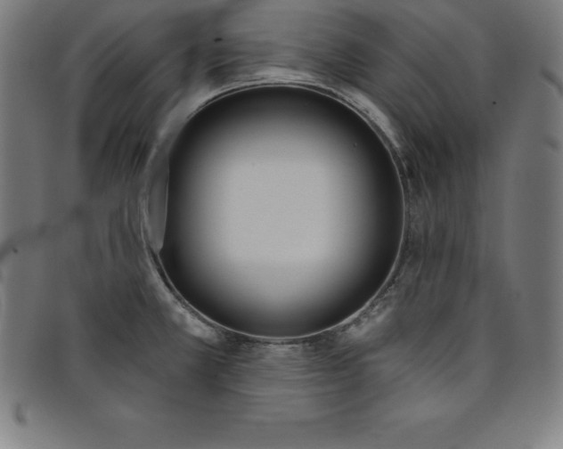 X0000098051381200804251053