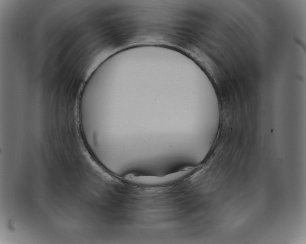 X0000098051382200804251053