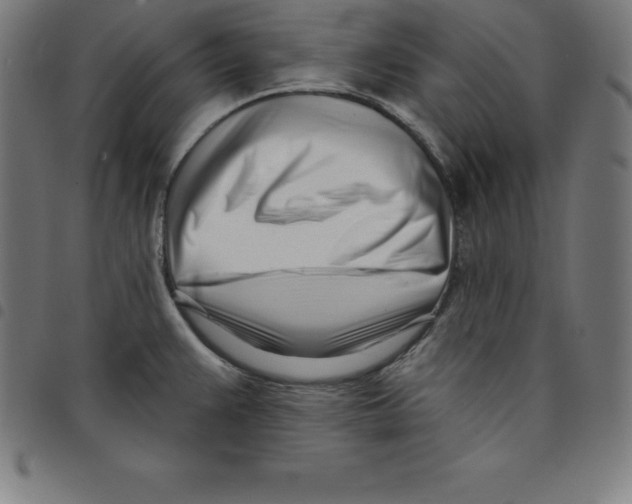 X0000098051383200804251053