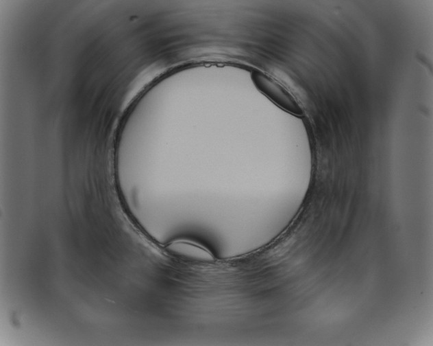 X0000098051384200804251053