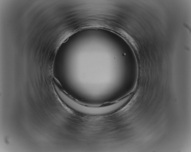 X0000098051385200804251053