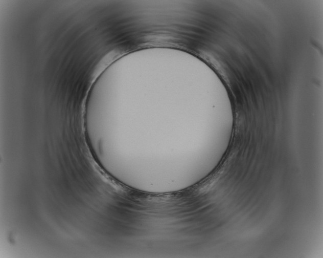 X0000098051386200804251053