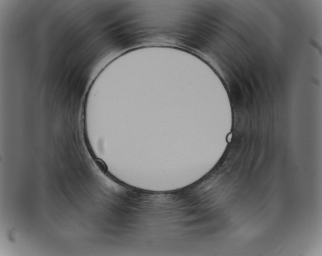 X0000098051387200804251053