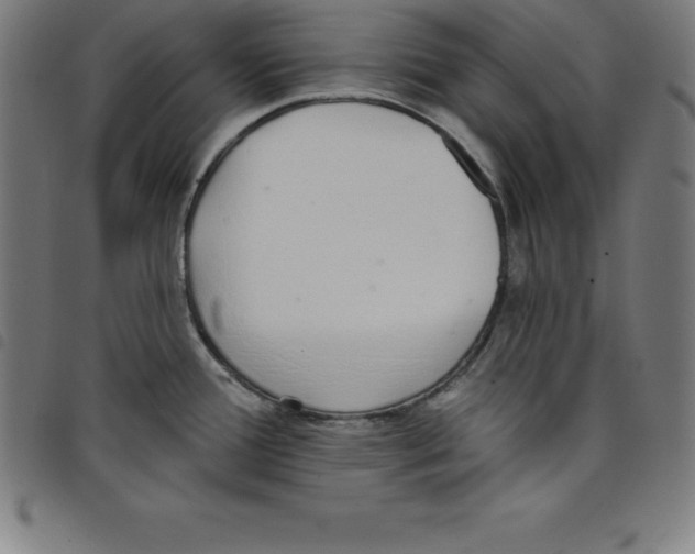 X0000098051388200804251053