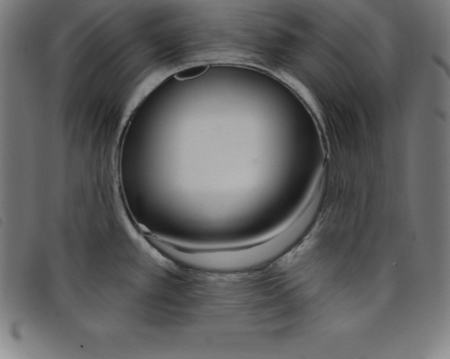 X0000098051389200804251053