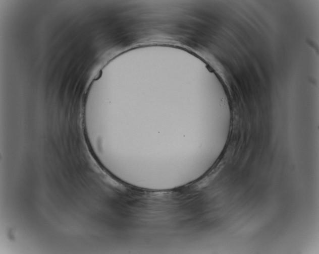 X0000098051390200804251053