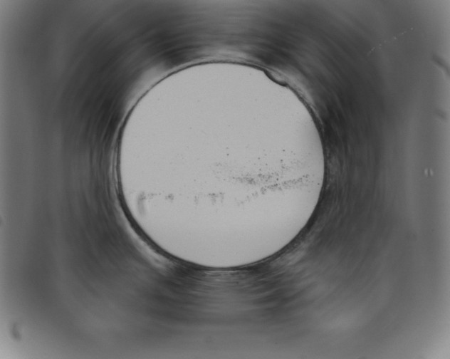 X0000098051391200804251053