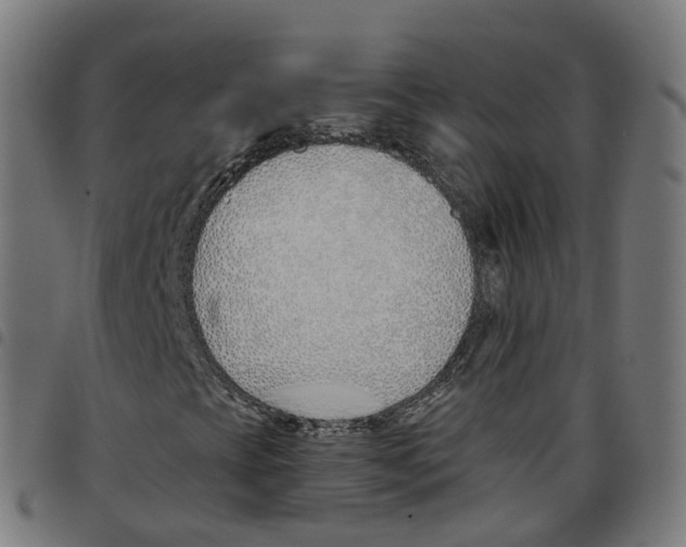 X0000098051393200804251052