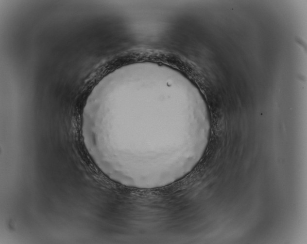 X0000098051397200804251052