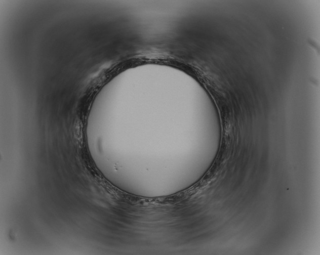 X0000098051398200804251052