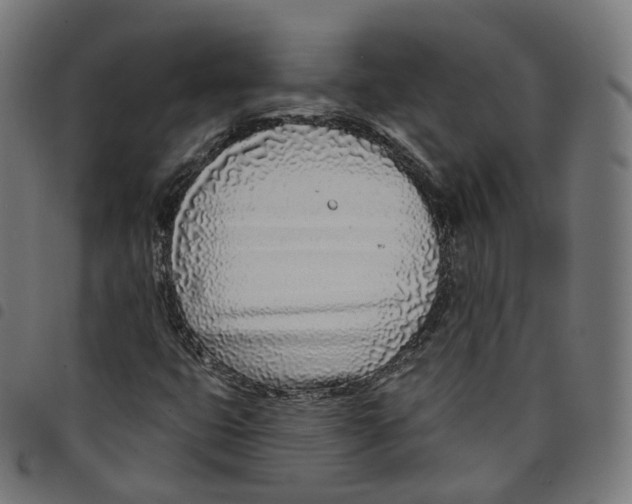 X0000098051399200804251052